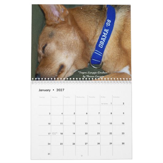 Hunde für Obama-Kalender Kalender (Jan 2027)