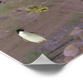 Hunde-Furz Poster (Ecke)