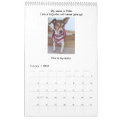 Hunde geben das Kalenderbuch nie auf Kalender (Jan 2026)