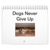 Hunde geben Storybook-Kalender nie auf Kalender (Titelbild)