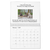 Hunde geben Storybook-Kalender nie auf Kalender (Feb 2027)