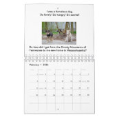 Hunde geben Storybook-Kalender nie auf Kalender (Feb 2026)