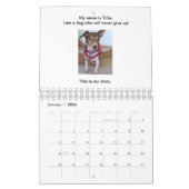 Hunde geben Storybook-Kalender nie auf Kalender (Jan 2026)