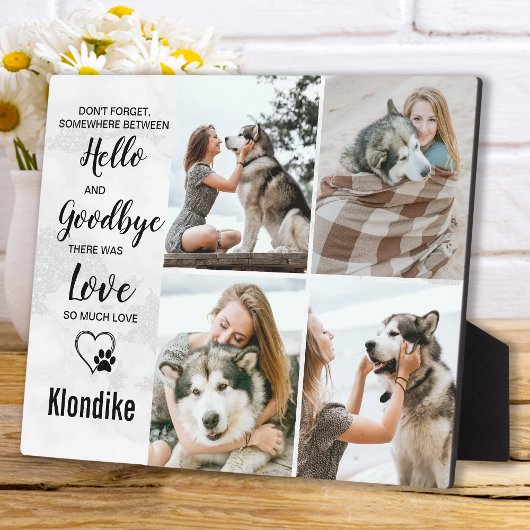 Hunde-Gedächtnis für den Verlust von Erinnerungen Fotoplatte