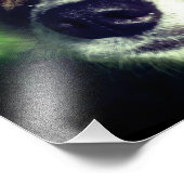 Hunde gegenüber Kodak Beruflich Foto Paper (Satin) (Ecke)