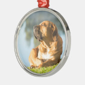 Hunde genießen die Morgensonne Ornament Aus Metall (Links)