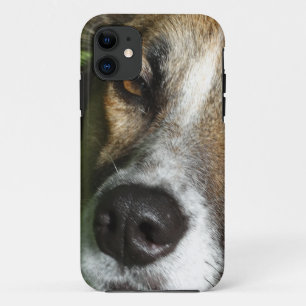 Hunde Gesicht Nah Up iPhone SE + iPhone 5/5S, selt iPhone 11 Hülle