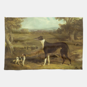 Hunde, Greyhound und Spaniel, Doktor Fop von Herri Geschirrtuch
