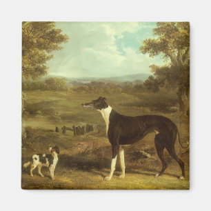 Hunde, Greyhound und Spaniel, Doktor Fop von Herri Magnet