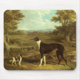 Hunde, Greyhound und Spaniel, Doktor Fop von Herri Mousepad