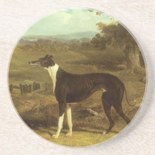 Hunde, Greyhound und Spaniel, Doktor Fop von Herri Sandstein Untersetzer