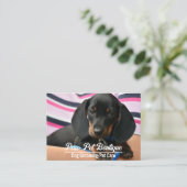 Hunde Groomer Pet Care Welpe Walker Visitenkarte (Stehend Vorderseite)