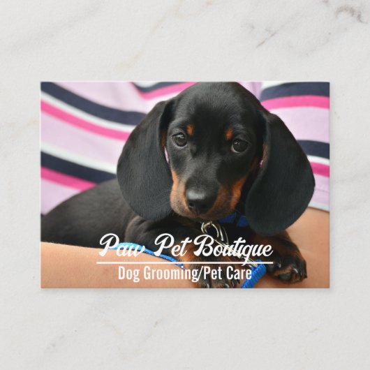 Hunde Groomer Pet Care Welpe Walker Visitenkarte (Vorderseite)