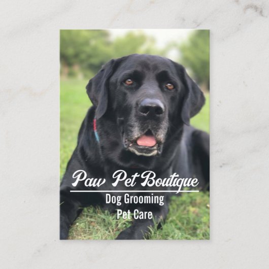 Hunde Groomer Pet Care Welpe Walker Visitenkarte (Vorderseite)