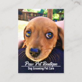 Hunde Groomer Pet Care Welpe Walker Visitenkarte