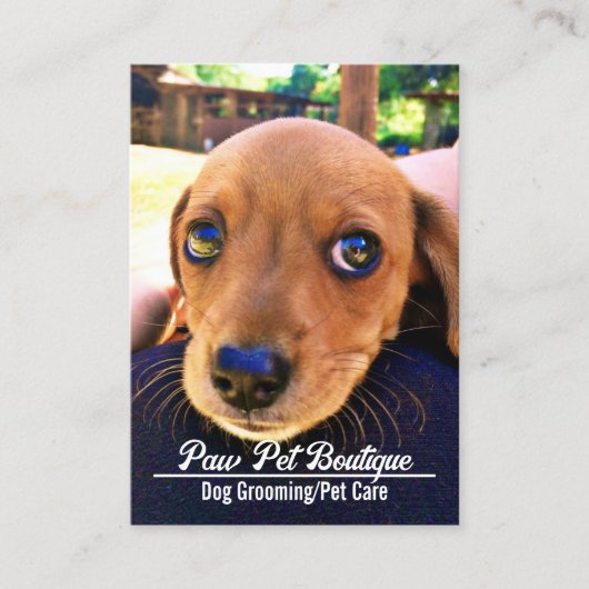Hunde Groomer Pet Care Welpe Walker Visitenkarte (Vorderseite)