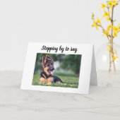 HUNDE GROOMER, VETERINÄR UND HUNDE WALKER KARTE (Gelbe Blume)