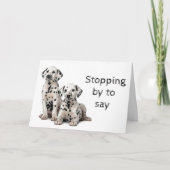 HUNDE GROOMER, VETERINÄR UND HUNDE WALKER KARTE (Vorderseite)