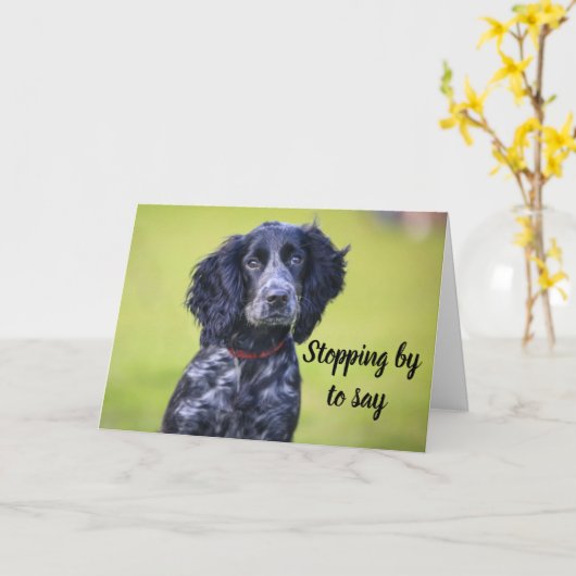 HUNDE GROOMER, VETERINÄR UND HUNDE WALKER KARTE (Gelbe Blume)