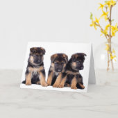 HUNDE GROOMER, VETERINÄR UND HUNDE WALKER KARTE (Gelbe Blume)