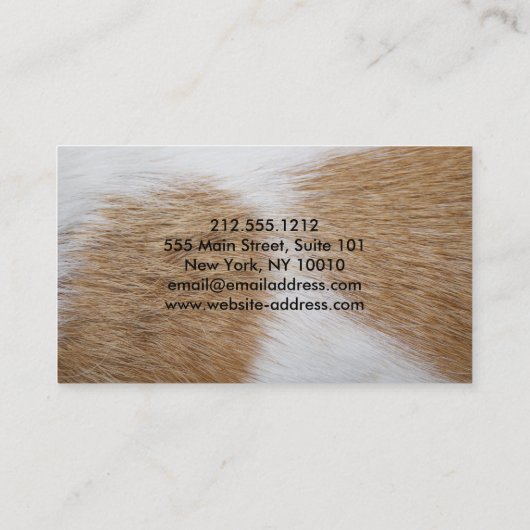 Hunde-Grooming-Salon-Visitenkarte Visitenkarte (Rückseite)