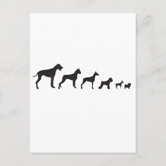 Hunde, groß und klein postkarte (Vorderseite)