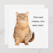 Hunde haben Besitzer, Katzen haben Mitarbeiter (Vorne/Hinten)