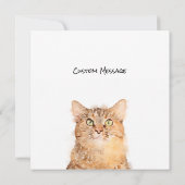 Hunde haben Besitzer, Katzen haben Mitarbeiter (Rückseite)