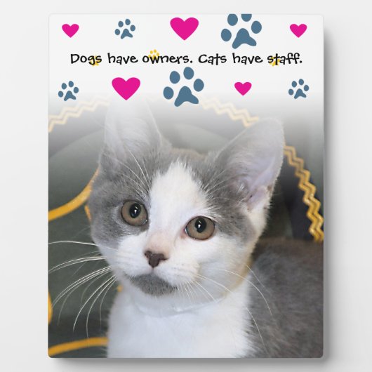 Hunde haben Hauskatzen Fotoplatte (Vorderseite)