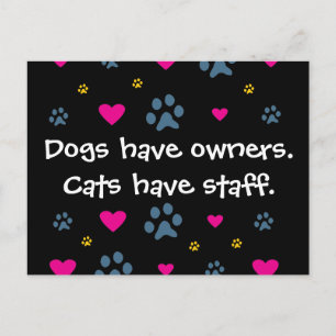 Hunde haben Hauskatzen Postkarte