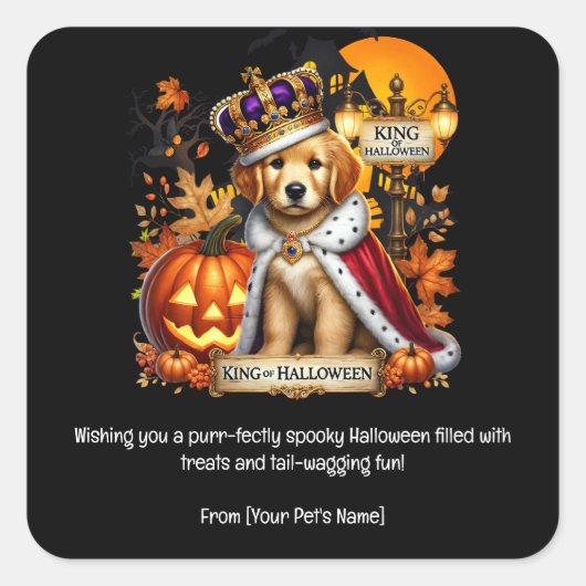 Hunde Halloween Pet in spukhaften Kostümen Quadratischer Aufkleber (Vorderseite)