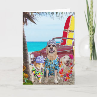 Hunde Hawaiian/Surfer Geburtstag Karte