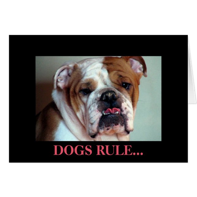 Hunde herrschen. (Vorderseite (Horizontal))