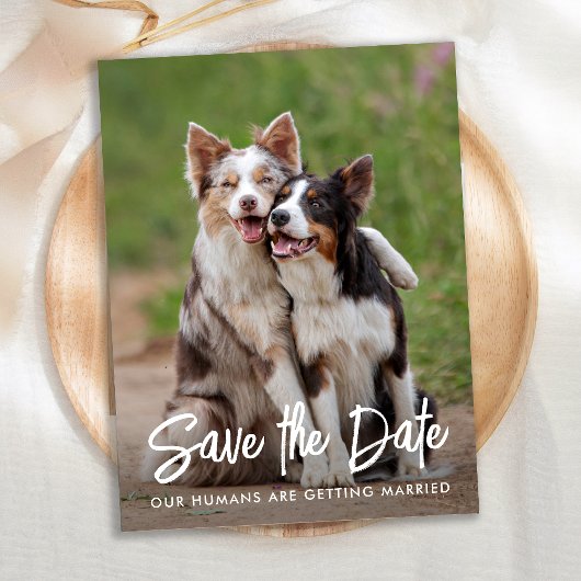 Hunde Hochzeit Personalisierte Begleiter Foto Save Ankündigungspostkarte