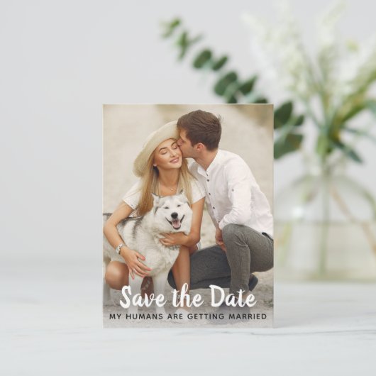 Hunde Hochzeit speichern das Datum Ankündigungspostkarte (Stehend Vorderseite)