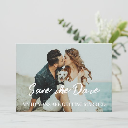 Hunde Hochzeit speichern das Datum Budget Einladung (Stehend Vorderseite)