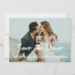 Hunde Hochzeit speichern das Datum Budget Einladung