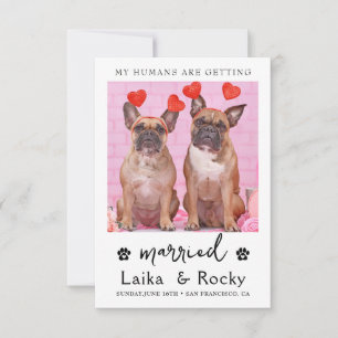 Hunde-Hochzeitseinladung Save The Date