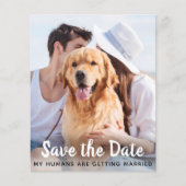 Hunde Hochzeitstiefel Foto Speichern Sie das Budge (Vorderseite)