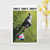 Hunde Humorgeburtstagskarte Karte (Gelbe Blume)