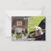Hunde Hunde Hunde Baby Meme Joke Flat Note Card Mitteilungskarte (Vorderseite)