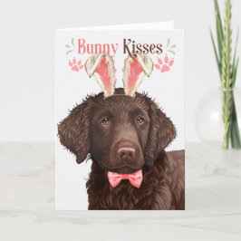 Hunde Hunde Hunde Hunde Ohren für Ostern Feiertagskarte