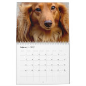 Hunde, Hunde, Hunde Kalender (Feb 2027)