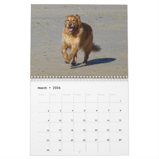 Hunde, Hunde, Hunde Kalender (Mär 2026)