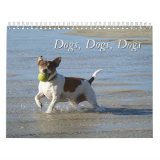 Hunde, Hunde, Hunde Kalender