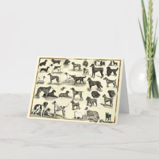 Hunde - Hunde Rassen für Hundeliebhaber Hunde im H Karte