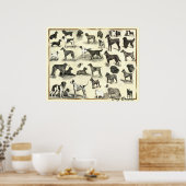 Hunde - Hunde Rassen - Hunde Hunde Printhunde Poster (Küche)