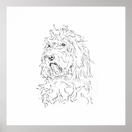 Hunde-Illustration, Wandkunst Cockapoo Poster (Vorne)