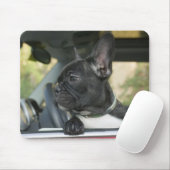 Hunde im Auto Mousepad (Mit Mouse)