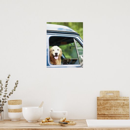 Hunde im Auto Poster (Küche)